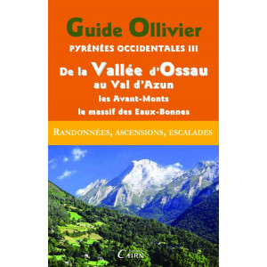 Pyrénées Occidentales III De la Vallée d'Ossau au Val d'Azun, les avant-monts, le massif des Eaux-Bonnes